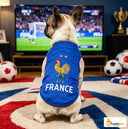 France dog jersey for World Cup matchday