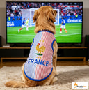 France - Away