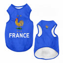 France - Home