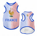 France - Away