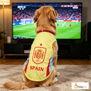 Spain - Away